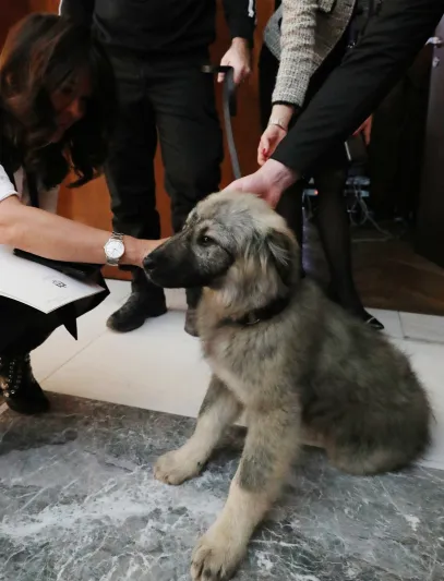 «بوتين» يتلقى هدية غريبة من الرئيس الصربى (فيديو)