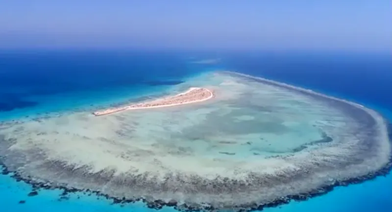 اعتماد مخطط مشروع البحر الأحمر.. 14 فندقاً على 5 جزر «مرحلة أولى»