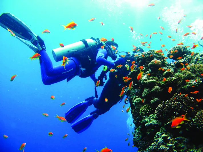 يتم غمر طائرة بوينغ 747 في المياه.. البحرين تنشئ أكبر منتزه للغوص في العالم