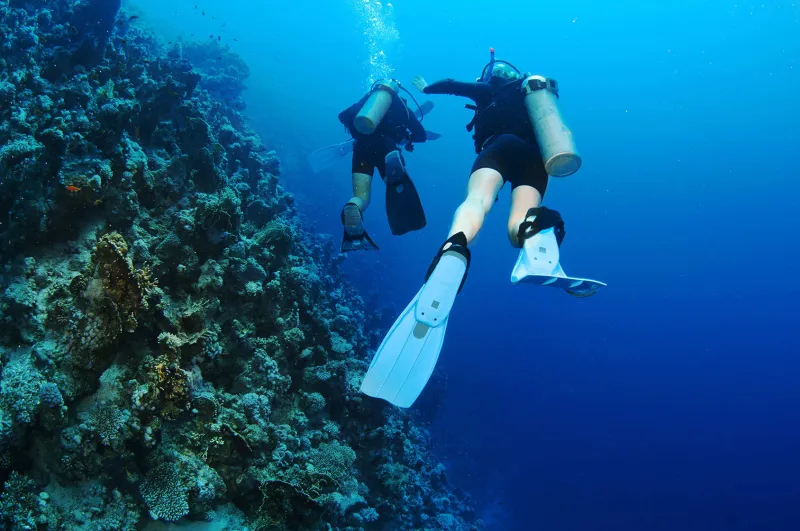 يتم غمر طائرة بوينغ 747 في المياه.. البحرين تنشئ أكبر منتزه للغوص في العالم