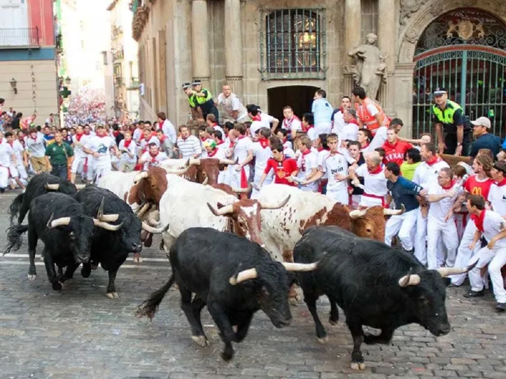 على غرار مهرجان " بامبلونا".. الترفيه تنظم تحدي "ركوب الثيران" في المملكة