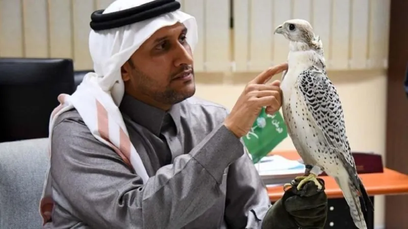 قصة شاب سعودي أصم يتحدث مع الصقور بلغة الإشارة ( صور)