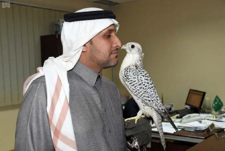 قصة شاب سعودي أصم يتحدث مع الصقور بلغة الإشارة ( صور)