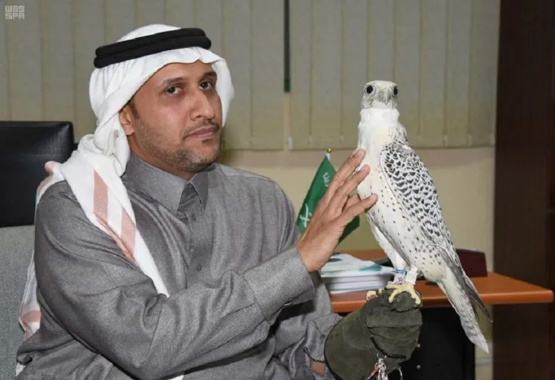 قصة شاب سعودي أصم يتحدث مع الصقور بلغة الإشارة ( صور)