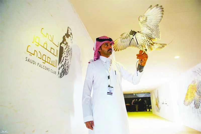 مهرجان الصقور يتيح خدمة النقل الترددي للعائلات من 4 مواقع.. تعرف عليها