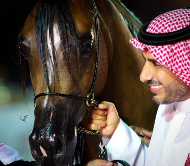 يتضمن سينما وشعرا وموسيقى.. انطلاق المهرجان السعوي للجواد العربي «عبيه» غدا