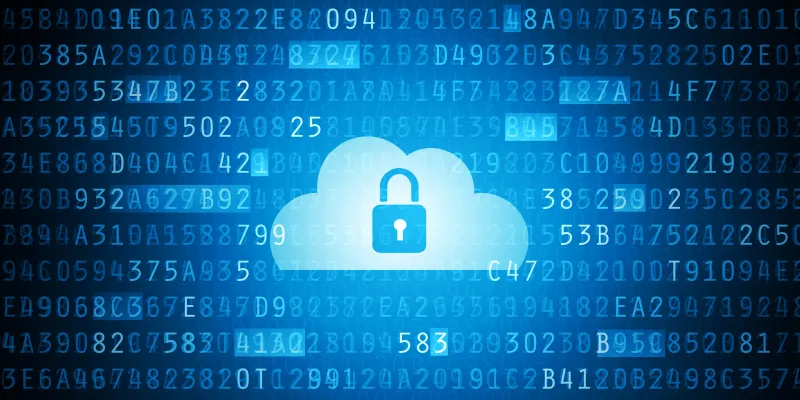 الأعمال الخطرة: إدراك المخاطر وتحديات الخصوصية للسحابة