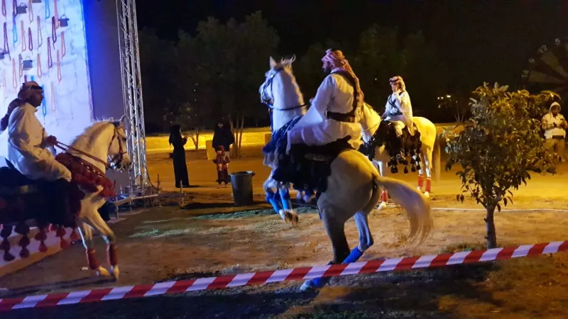 يستهدف كافة شرائح المجتمع.. كل ما تريد معرفته عن المهرجان السعودي للجواد العربي "عبيِّه"