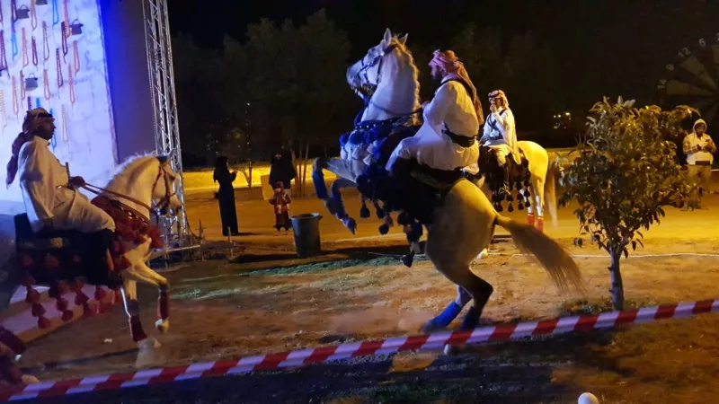 يستهدف كافة شرائح المجتمع.. كل ما تريد معرفته عن المهرجان السعودي للجواد العربي "عبيِّه"