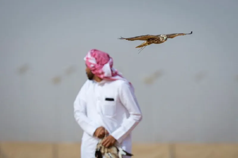 منافسة حامية بين 127 صقاراً في الأشواط الدولية لمهرجان الملك عبدالعزيز للصقور (صور)