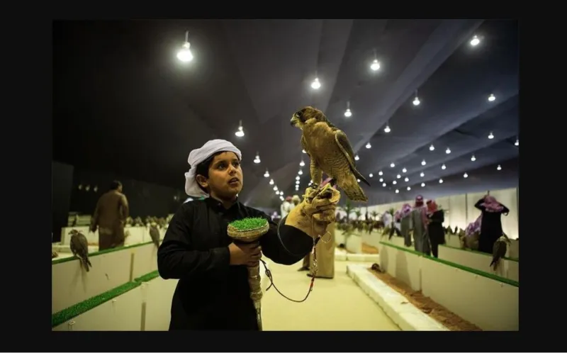 صقارو الإمارات يحصدون المراكز الأولى في مهرجان الملك عبدالعزيز