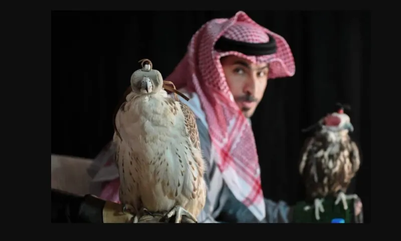 صقارو الإمارات يحصدون المراكز الأولى في مهرجان الملك عبدالعزيز