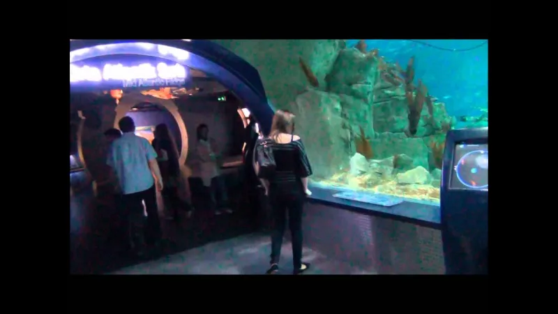 البحرين سبقت بها.. أكبر مدينة ملاهي في قاع البحر 