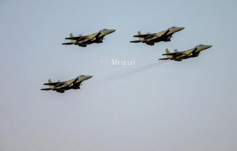 عرضًا لن يُنسى.. الصقور السعودية تستعرض في سماء محايل (صور)