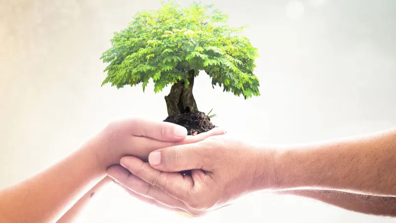 إيرادات الشركات العائلية في العالم