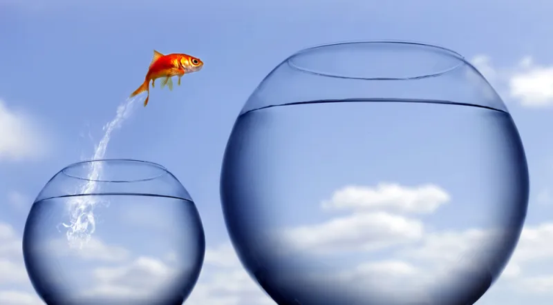 متى يصبح سقف التوقعات المرتفع قوة تدميرية أو أداة للتطور؟ 