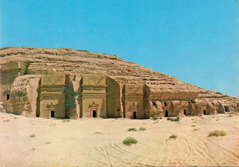 توفر آلاف الوظائف وتنعش الاقتصاد.. كل ما تريد معرفته عن "رؤية العلا" (فيديو)