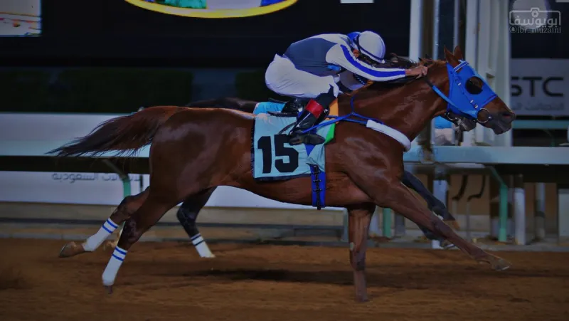 ولي العهد يرعى حفل سباق الخيل السنوي على كأسي جياد الإنتاج والمستورد ( فيديو)