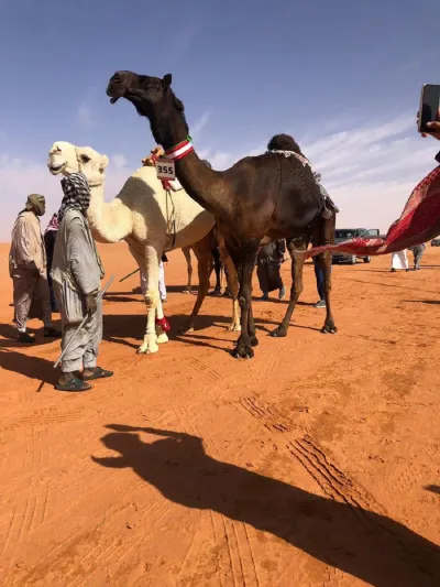 أول مشاركة نسائية في تاريخ مهرجانات الإبل بالمملكة 