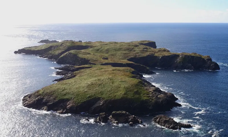 ترى المحيط من كل جوانبها.. جزيرة بمساحة 60 ملعب كرة قدم للبيع بمبلغ مغرٍ