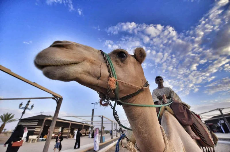 «ركايب» تستكشف الربع الخالي بأكثر من 100 مغامر (فيديو)