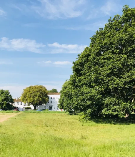 أحياء لا بدّ من اكتشافها في جنوب غرب لندن