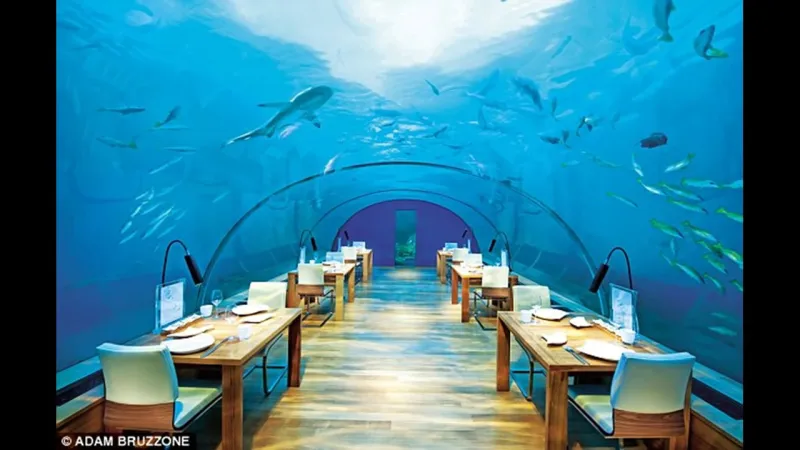 مكتبة ذكية ونظام موسيقي تحت الماء..  قصر بيل غيتس عالم خاص من التكنولوجيا