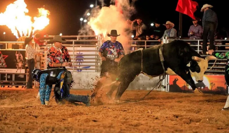 لأول مرة بالمملكة.. إقامة عرض مثير لتحدي الثيران بمشاركة فرقة أمريكية (صور)