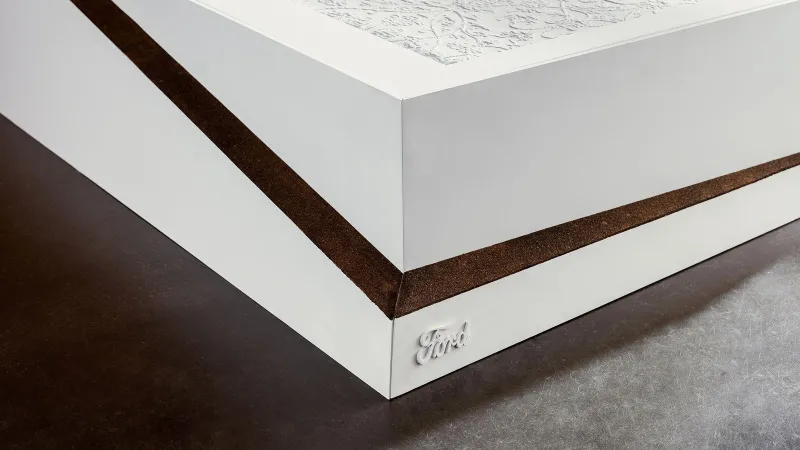 Lane-Keeping Bed.. سرير مبتكر من بتكنولوجيا سيارات فورد (فيديو)