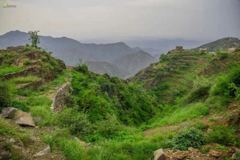 لقطات مثيرة لأخطر الطرق الجبلية بالجزيرة العربية في جازان (فيديو)