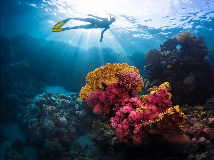 كيف تكشف عطلة أحلامك عن شخصيتك؟