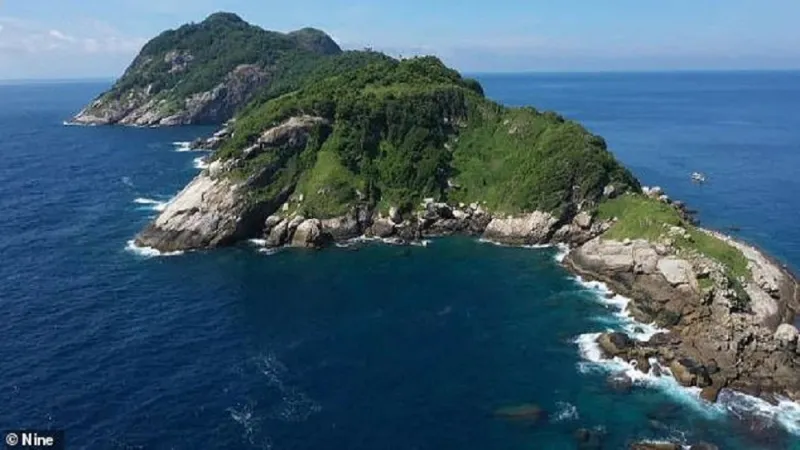 جزيرة "الأفعى".. الأخطر على وجه الأرض (فيديو)