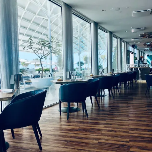 لن تسمع الصراخ فقط.. تعرف على سر استقبال هذا المطعم لزواره  بتكسير الصحون