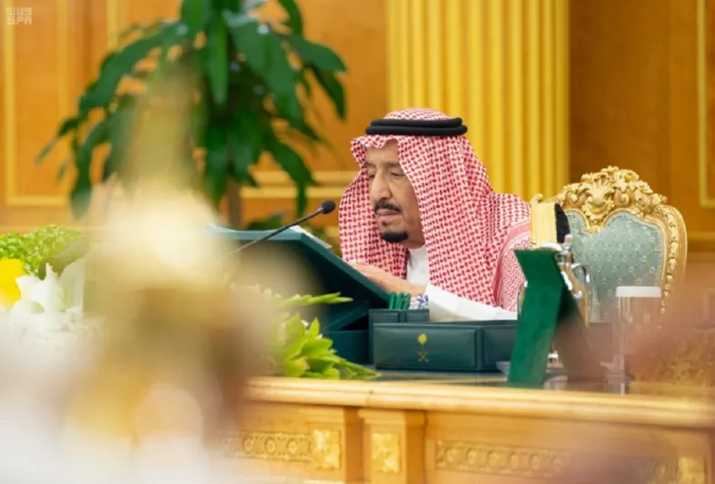 وافق عليها مجلس الوزراء.. ما هي لائحة المحافظة على الذوق العام؟