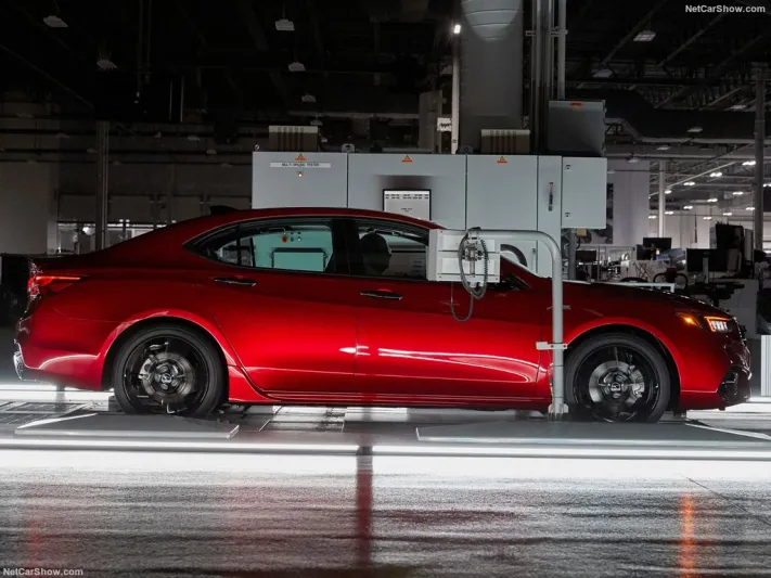 نسخة مذهلة مصنوعة يدوياً من سيارة أكورا TLX PMC