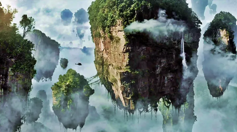 محمية جبل تيانزي تاج المثلث الذهبي.. فتيات ينثرن الزهور فوق القمم