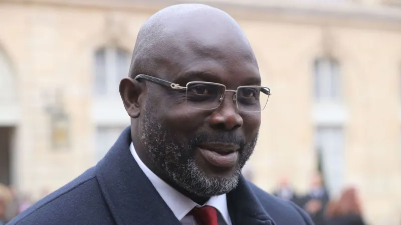 في هذه الدولة.. الثعابين تمنع الرئيس من أداء عمله وتحتل وزارة الخارجية (فيديو)