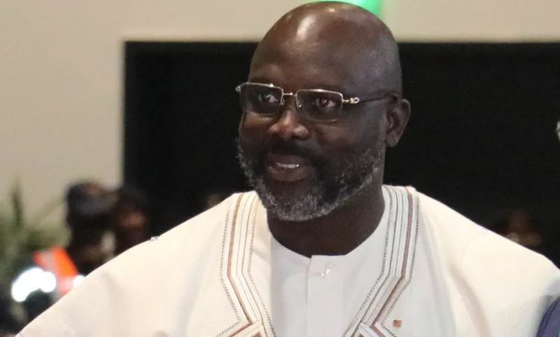 في هذه الدولة.. الثعابين تمنع الرئيس من أداء عمله وتحتل وزارة الخارجية (فيديو)