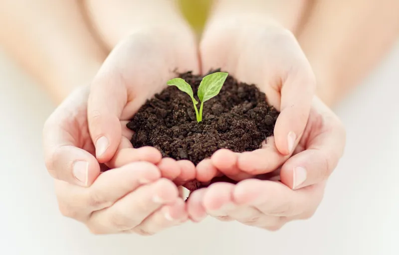 الصدقة في رمضان.. لماذا تعتبر الأفضل؟ وهذه هي فوائدها 