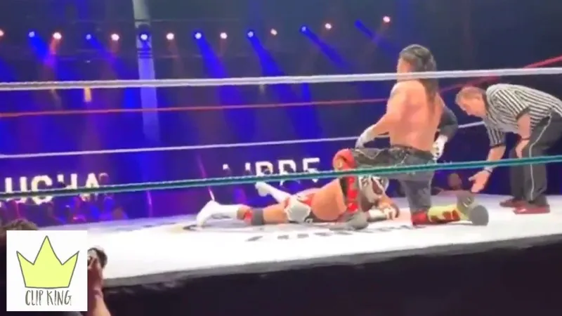 أصاب الجمهور بالصدمة.. كيف لفظ بطل مصارعة شهير أنفاسه الأخيرة على الحلبة؟ (فيديو)