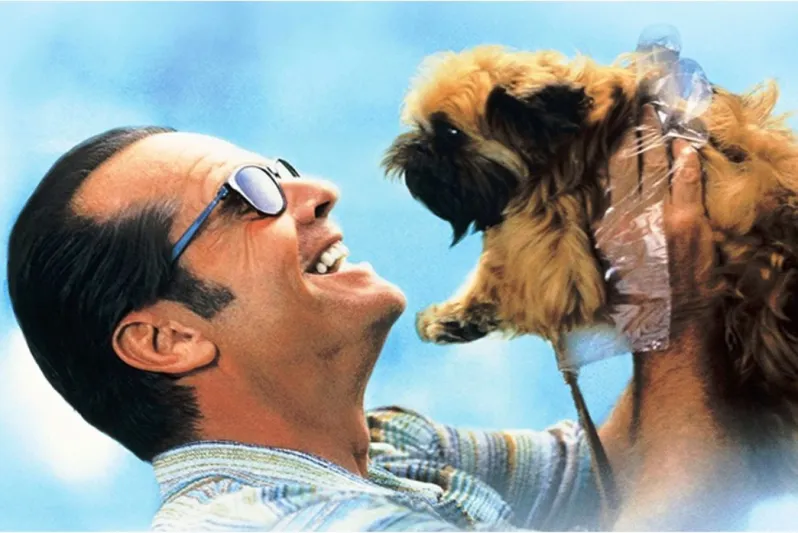  أفلام تجعلك تشعر أن الحياة تستحق أن تُعاش