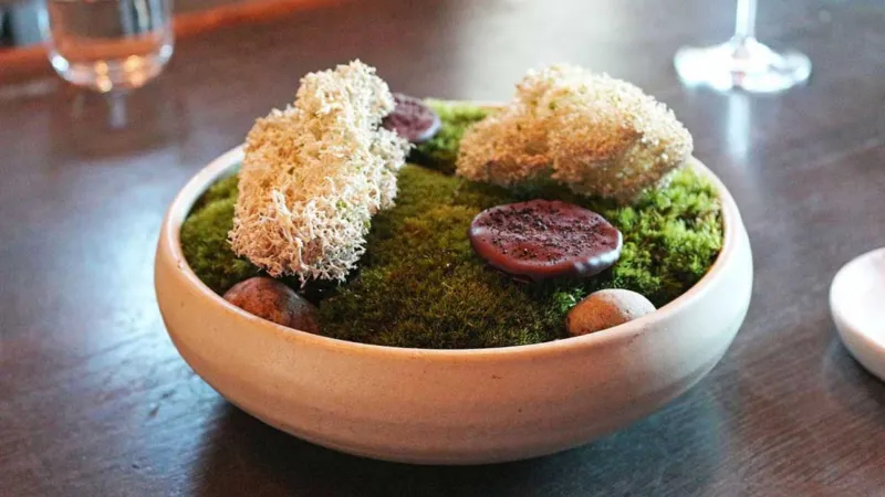 بدائل صديقة للبيئة.. تعرف على مصادر الغذاء الصحي في المستقبل