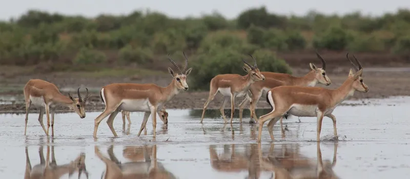 «أرض النار» تفتح ذراعيها.. 13 مزارا سياحيا في أذربيجان لا تفوتها