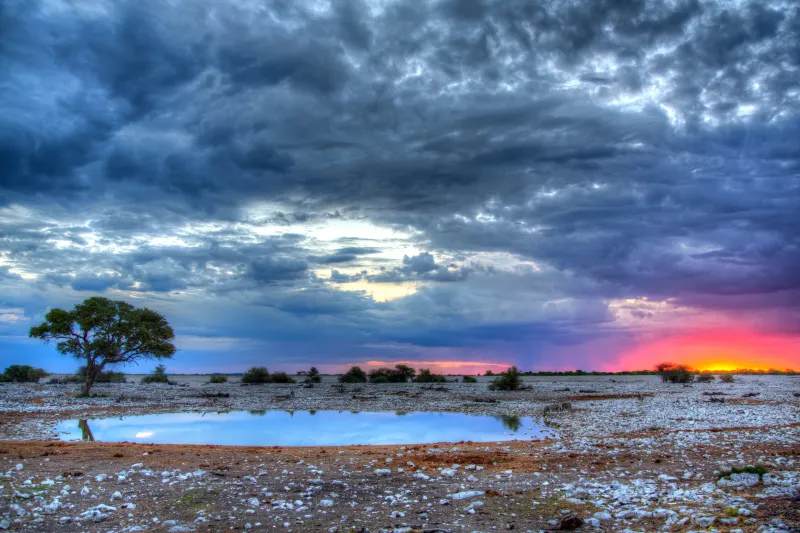 ناميبيا كتاب قديم يروي قصص كوكبنا المذهل.. من هنا بدأت البشرية