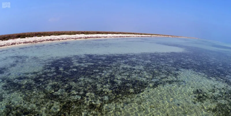 4 جزر سعودية ساحرة تبهر العيون بجمالها الخلاب.. صور ولا أروع