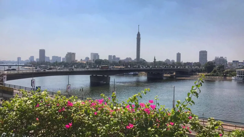 لماذا تحب المصريين؟ وليد الفراج يجيب بـ"فيديو"