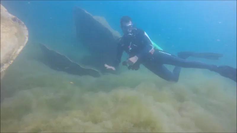 أول متحف لمعالم الخليج تحت الماء في السعودية (فيديو)