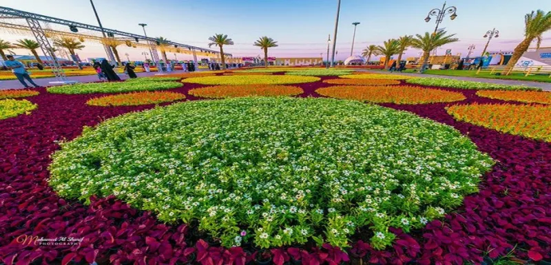 هاشتاج "أجمل المدن في السعودية" يتصدر تويتر.. المملكة كما لم ترها من قبل