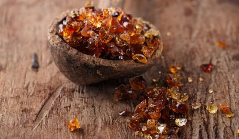 فوائد الصمغ العربي للقولون