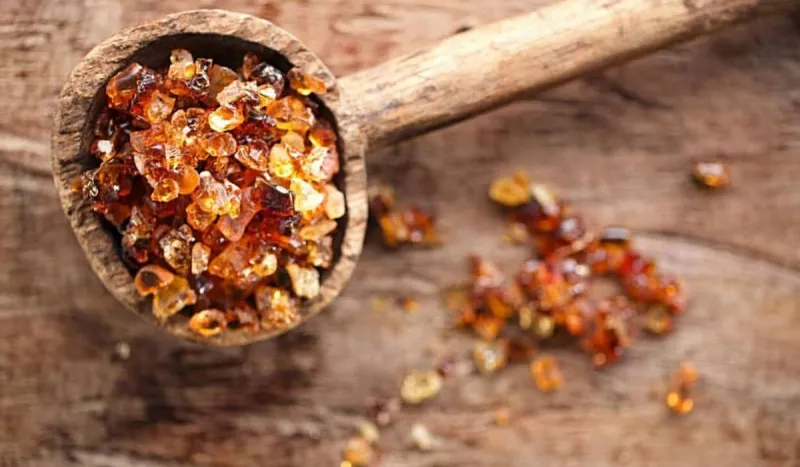 فوائد الصمغ العربي للقولون